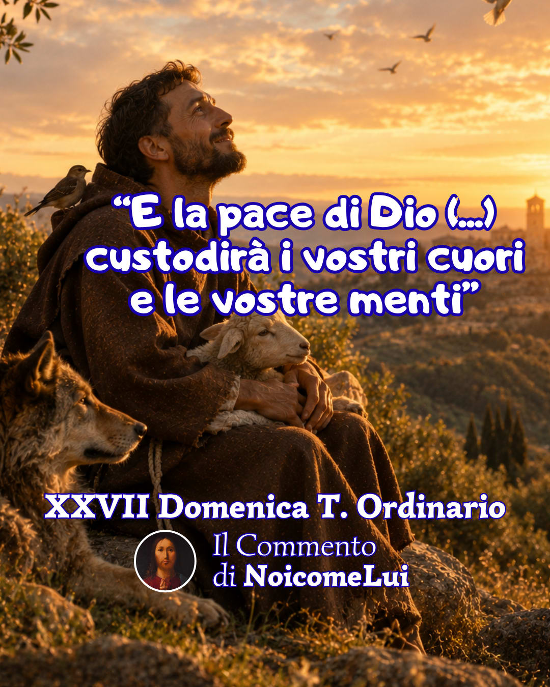 Ventisettesima Domenica del Tempo Ordinario